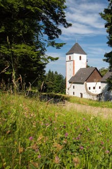 Bolfenk - Pohorje